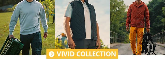Collection Dassy VIVID