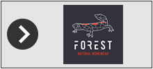 Logo Forest Natural Workwear